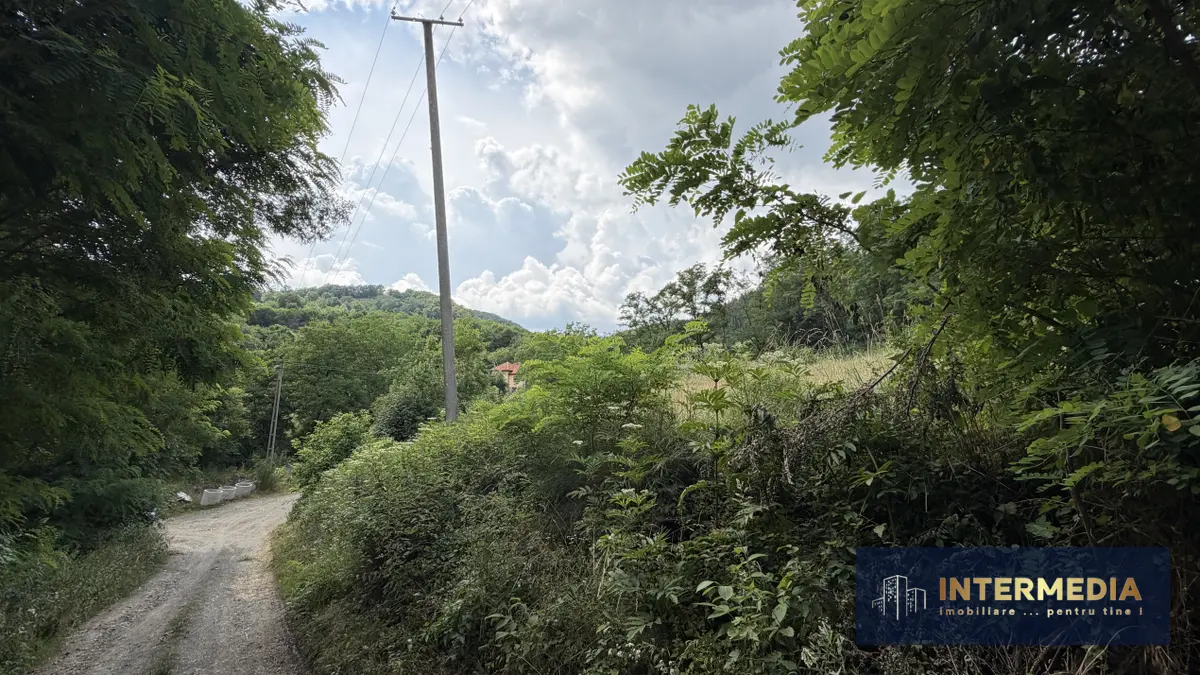 Teren intravilan 1257 mp la liziera pădurii, Meteș, la 15 km de Alba Iulia, fotografia 7