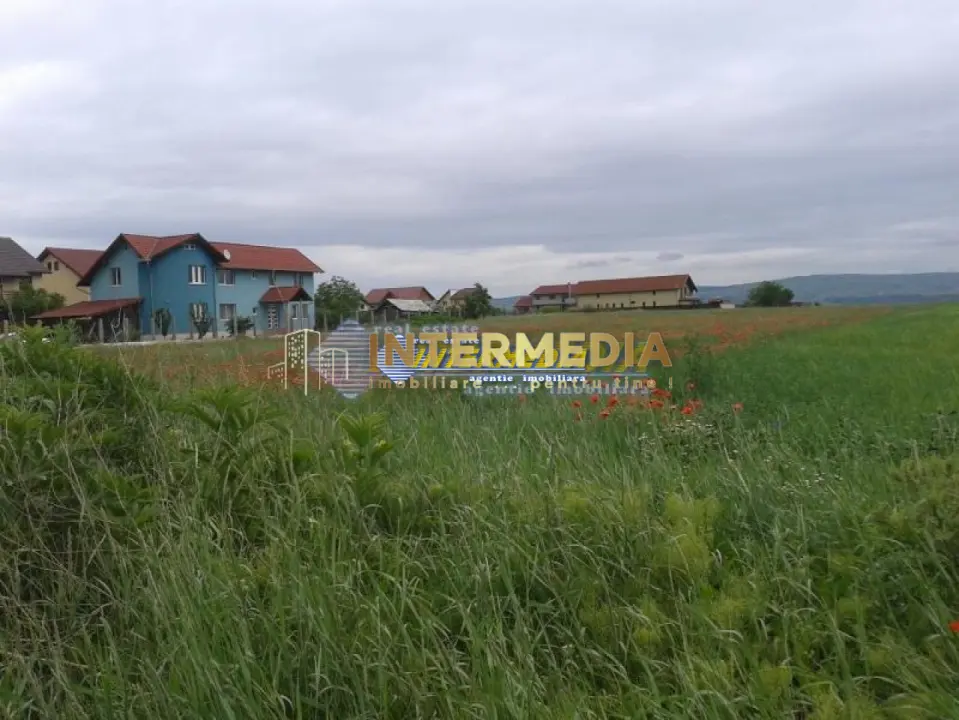 Teren intravilan 8600 mp. Alba Iulia Zona Cetate parcelabil, fotografia 1