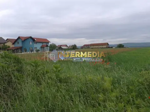 Teren intravilan 8600 mp. Alba Iulia Zona Cetate parcelabil