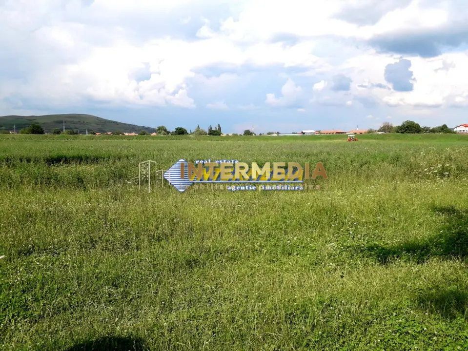 Teren de vanzare in Oarda, zona Ses la sosea 2000 mp, fotografia 4