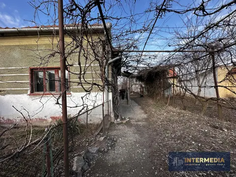 Fotografia 6