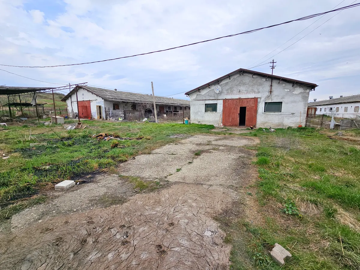Două hale pentru depozitare sau producție, teren 6100 mp, Lunca Mureșului, fotografia 1