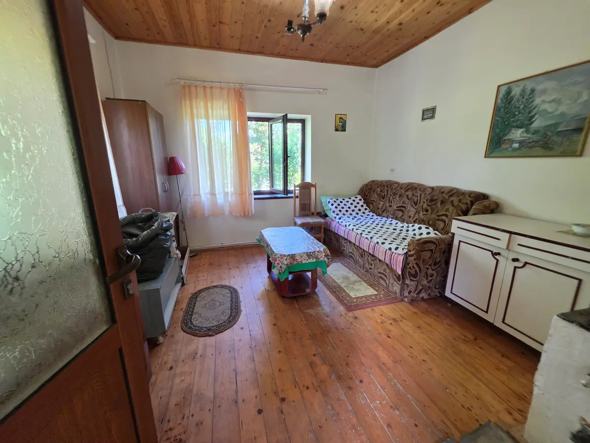 Casă cu teren de 7050 mp în Pianu de Sus, fotografia 3