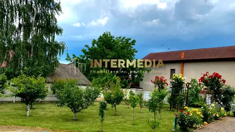 Fotografia 6
