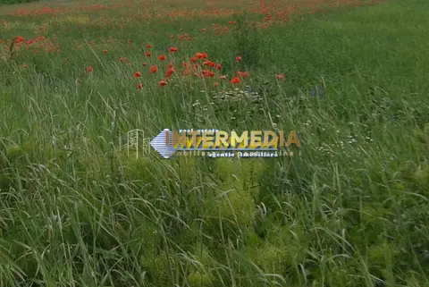 Teren intravilan 600 mp - 1800 mp zona Valea Popi