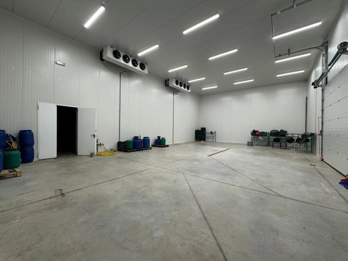 Spațiu industrial frigorific cu atmosferă controlată, 1200 mp, teren 6000 mp, Sebeș, fotografia 3