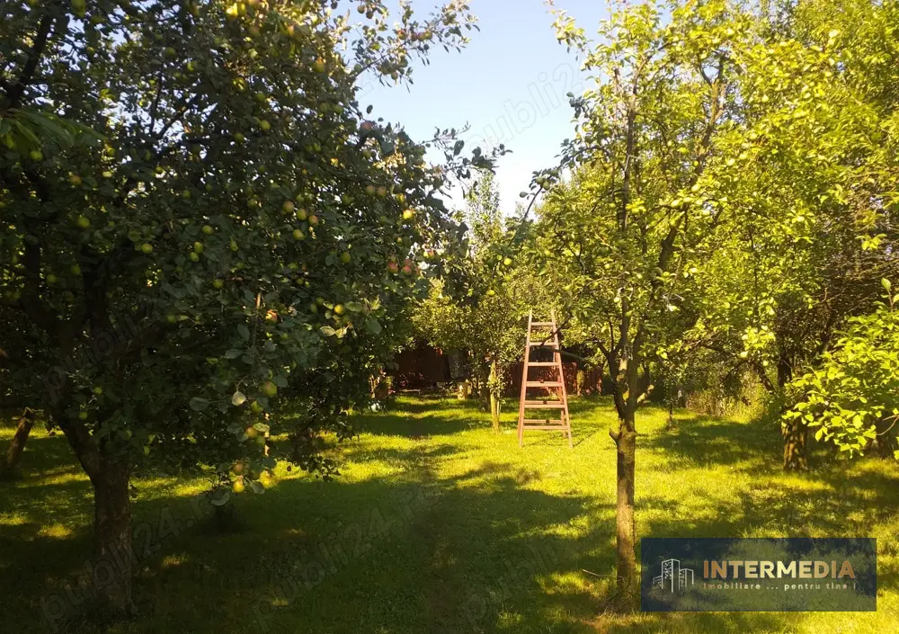 Teren Intravilan Vanzare 1400 mp. Alba Micesti deschidere 16m. Toate Utilitatile, fotografia 2