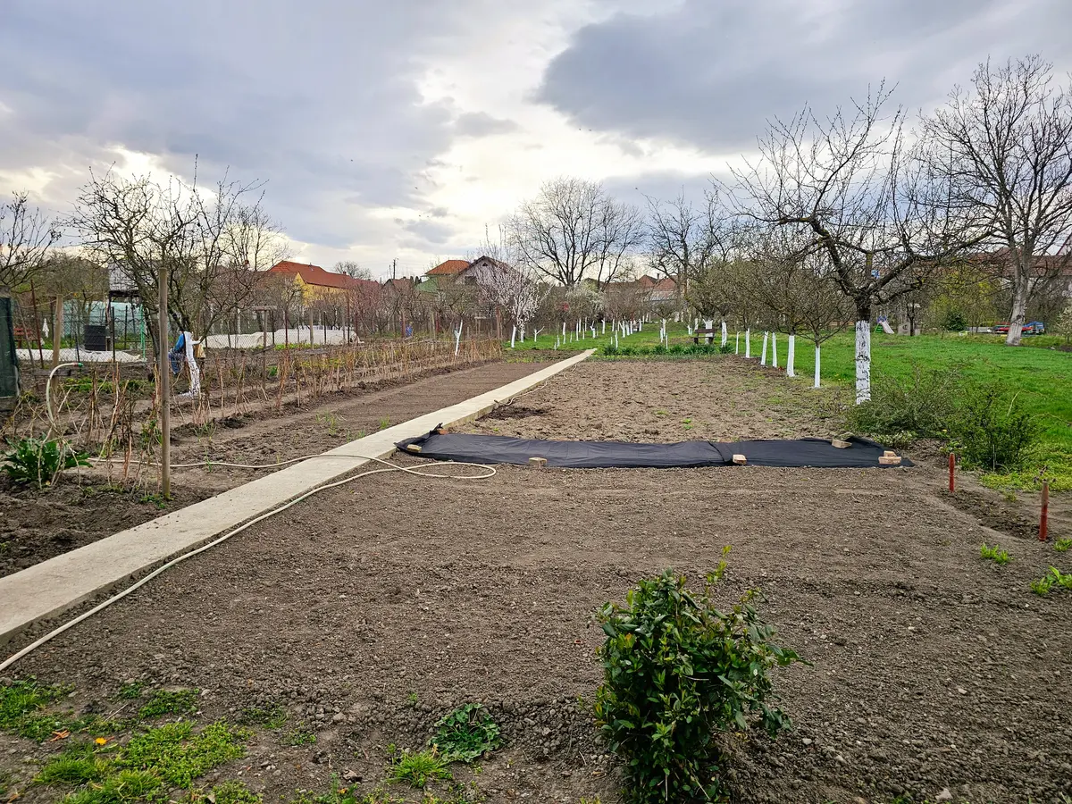 Casă 4 camere, 1650 mp teren, Lancrăm, fotografia 4