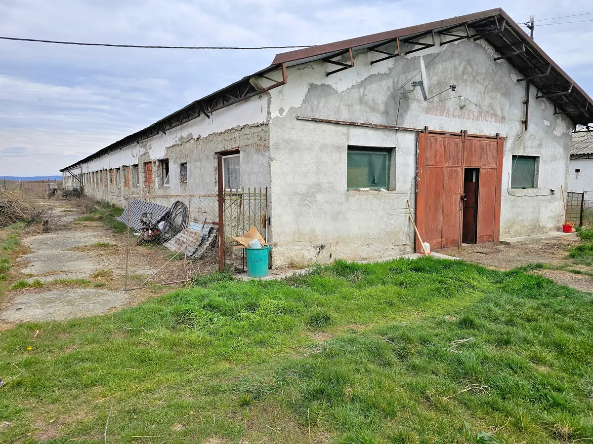 Două hale pentru depozitare sau producție, teren 6100 mp, Lunca Mureșului, fotografia 3