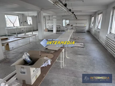 Fotografia 7