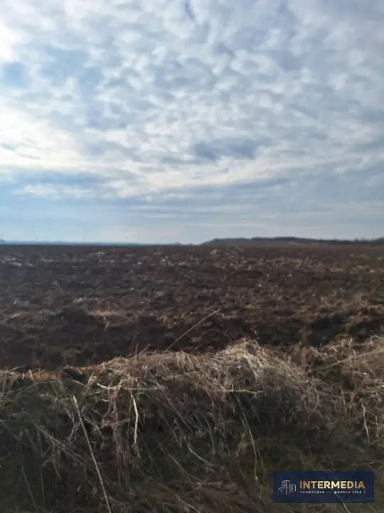 Teren extravilan de vanzare in suprafata de 15800 mp in Salistea, judet Alba, fotografia 3