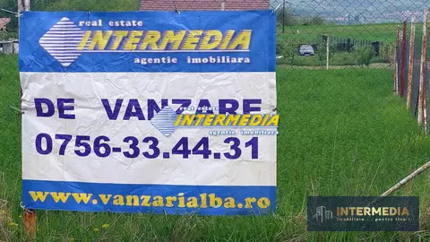 Fotografia 4