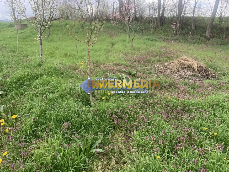 OCAZIE ! Teren intravilan 300 mp. 450 mp. si 500 mp. Vanzare Barabant Alba Iulia pentru cabana, fotografia 4