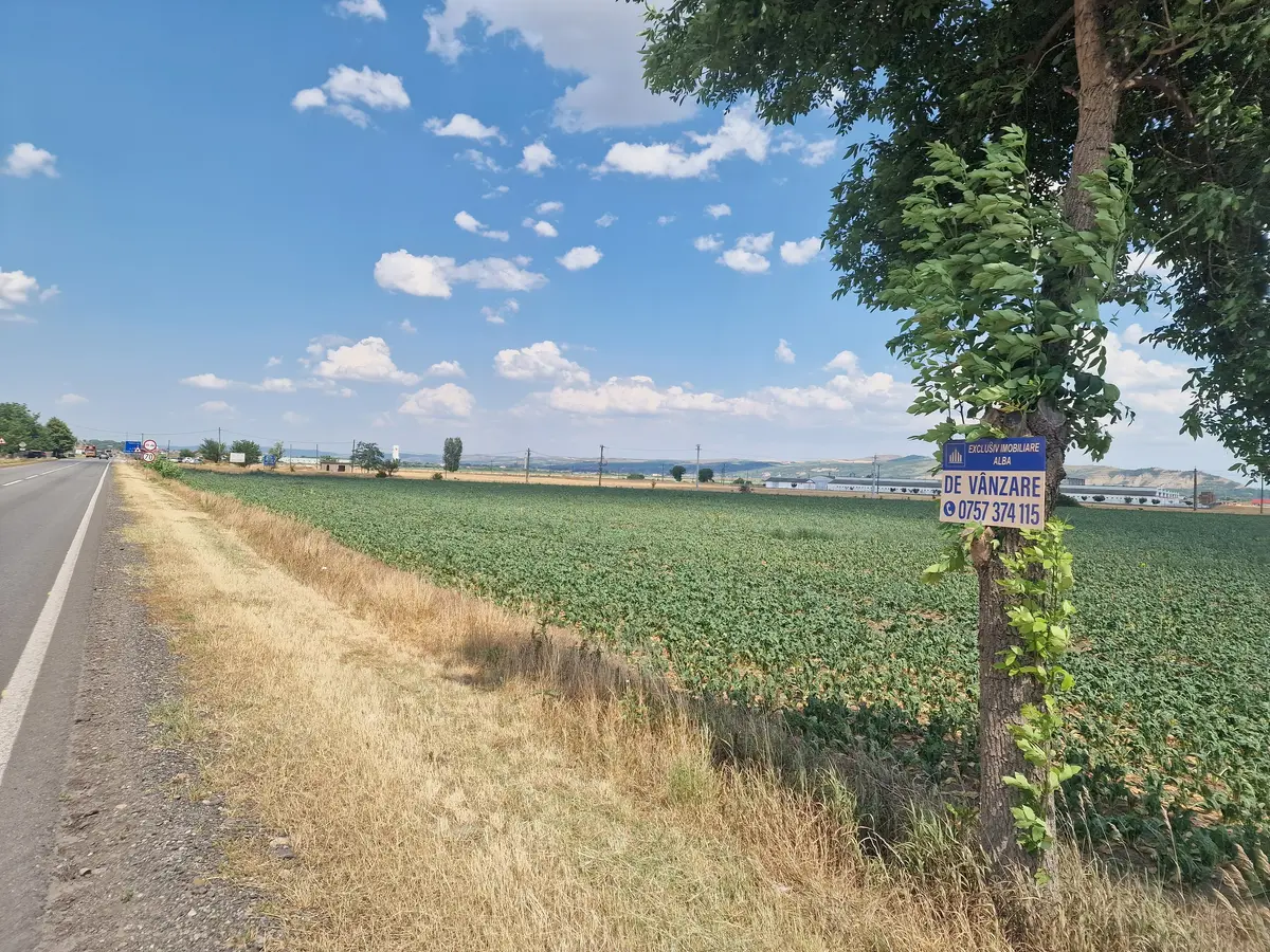 Teren agricol, la șosea, 9100 mp, 40 ml deschidere, fotografia 1