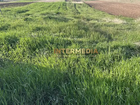 Teren Intravilan de vanzare in Alba Iulia zona Micesti in suprafata de 1077 mp