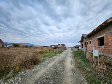 Fotografia 5