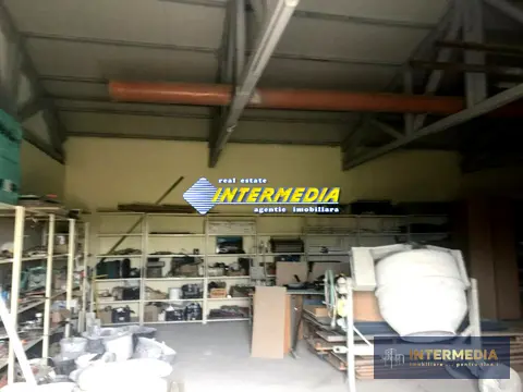 Fotografia 6