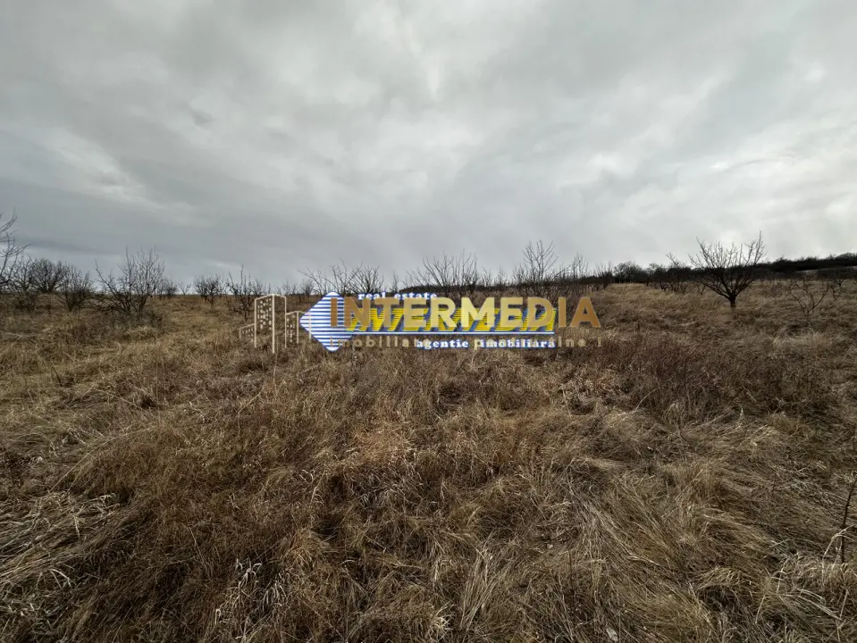 Teren extravilan de vanzare in suprafata de 80000 mp cu livada de pomi fructiferi, fotografia 5
