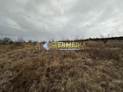 Fotografia 5