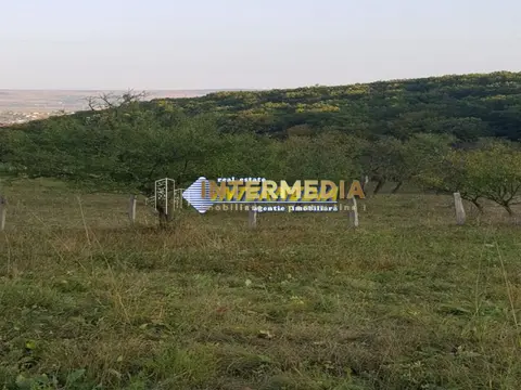 Fotografia 5