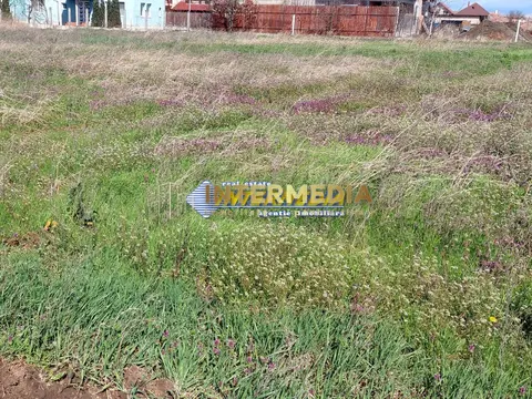 Fotografia 7