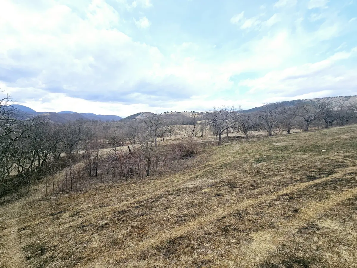 Teren intravilan de vânzare, 12211 mp, Geoagiu de Sus, fotografia 4