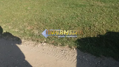Fotografia 5