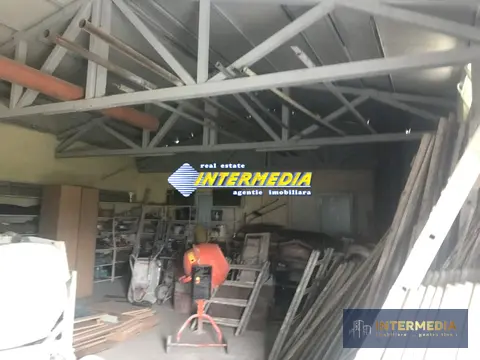 Fotografia 4