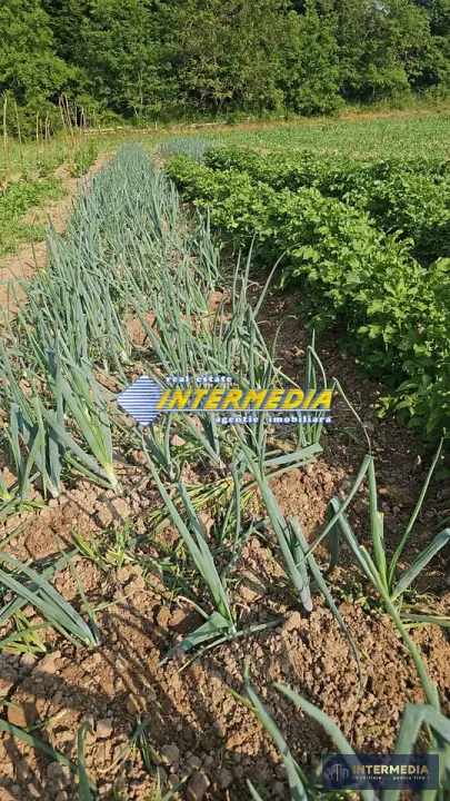 Teren intravilan 1000 mp in Ampoita cu apa si curent in fata