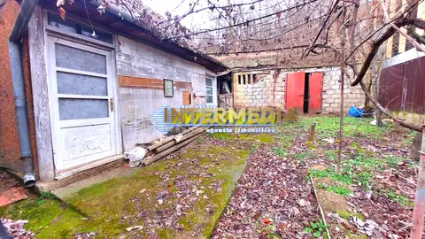 Fotografia 5