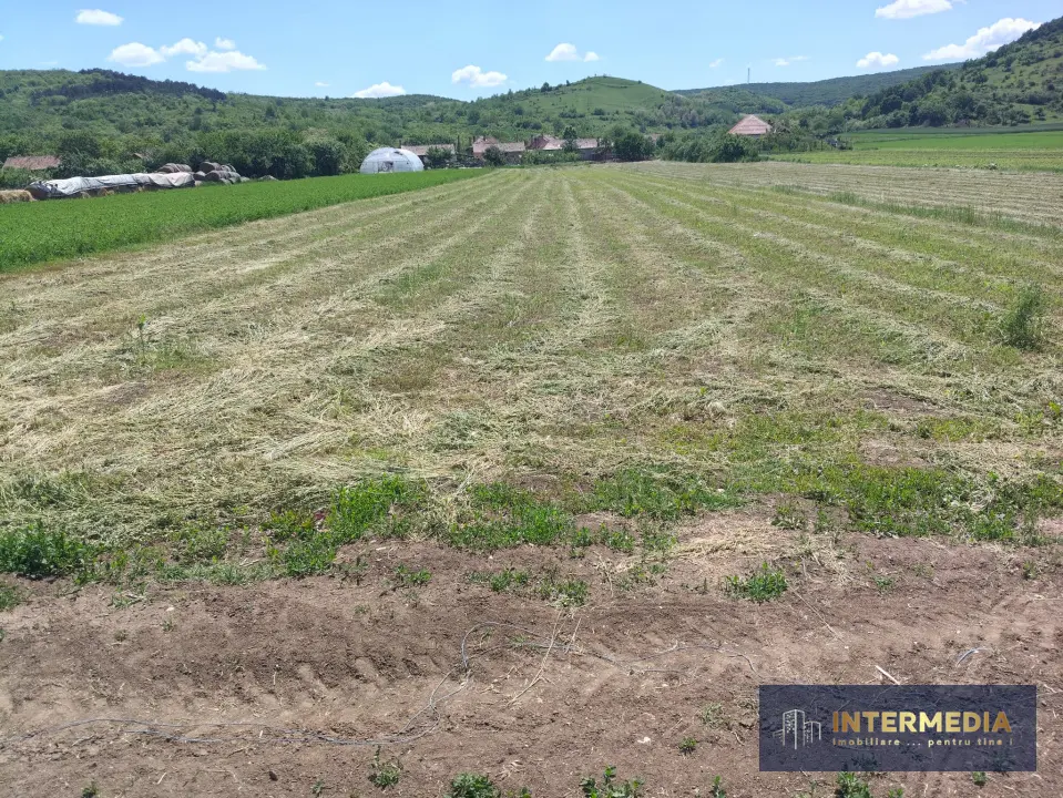 Teren intravilan de 3024 mp, cu deschidere la drum de 18 m, în Totoi, fotografia 4