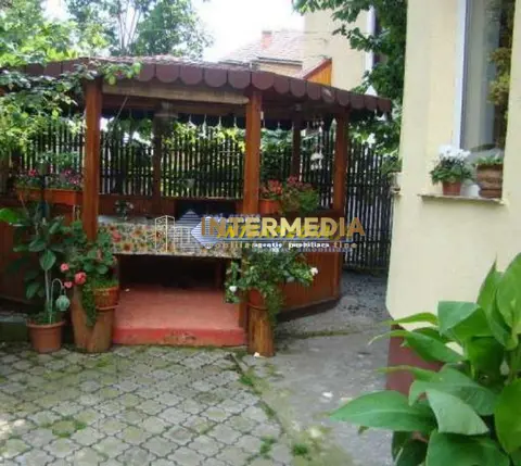 Fotografia 7