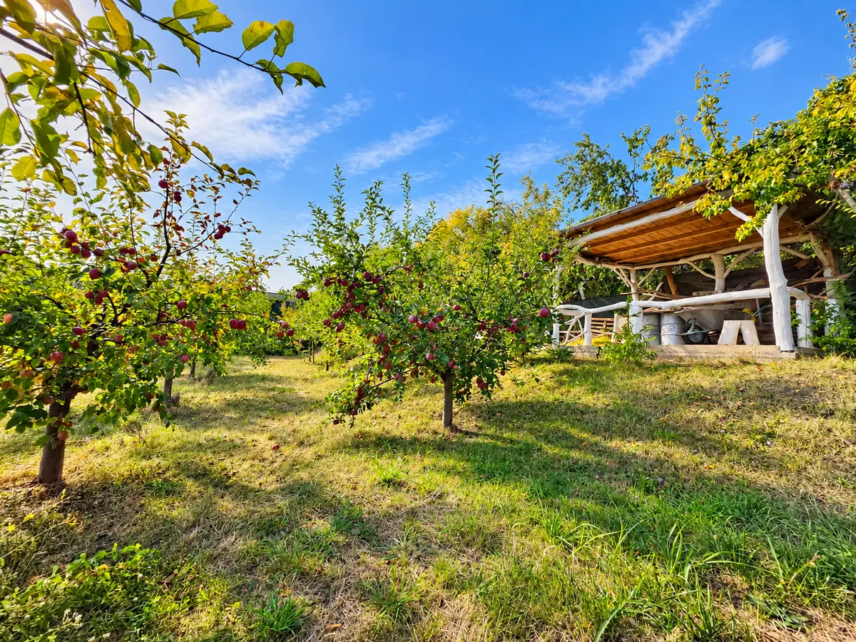 Vilă modernă, 4 camere, teren 1.242 mp, cu vedere panoramică, Micești, fotografia 4