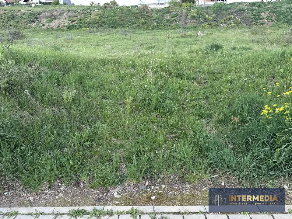 TEREN INTRAVILAN, 2900 MP, IDEAL PENTRU CONSTRUCTIE BLOCURI, P+ 3, fotografia 1