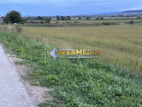 Fotografia 8
