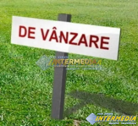 Teren de vanzare Sard langa Padure 10.000 - 50.000 mp. la 3 Euro/mp