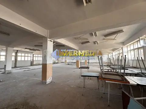 Fotografia 6
