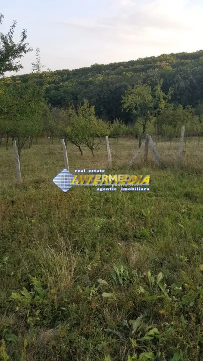 Fotografia 4