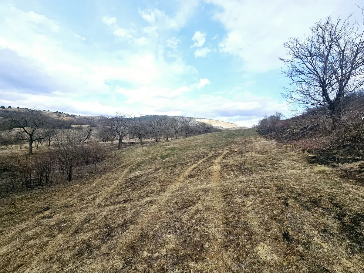Teren intravilan de vânzare, 12211 mp, Geoagiu de Sus, fotografia 3