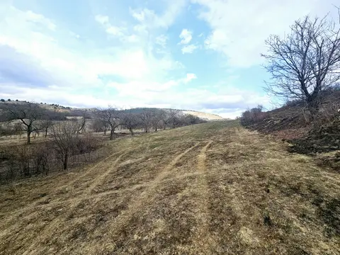 Fotografia 3