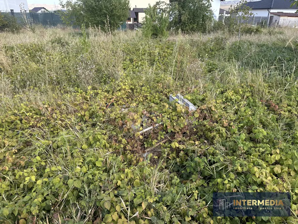 Teren intravilan 480 mp, apă, gaz, curent, deschidere la stradă 25 ml, fotografia 3