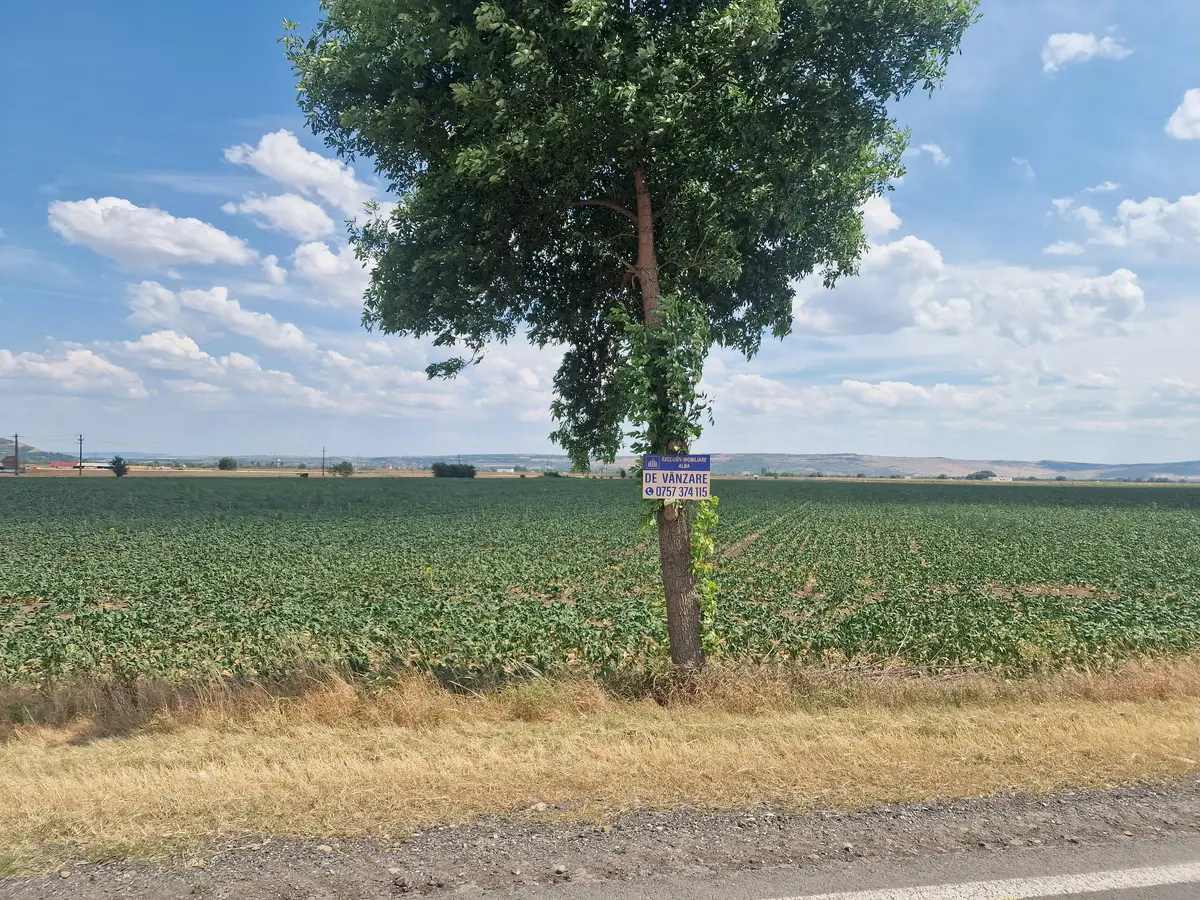 Teren agricol, la șosea, 9100 mp, 40 ml deschidere, fotografia 5