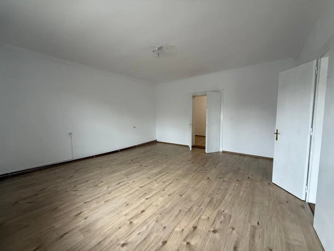 Casă individuală de vânzare în zona Cetate, aproape de Cetatea Alba Carolina, fotografia 9