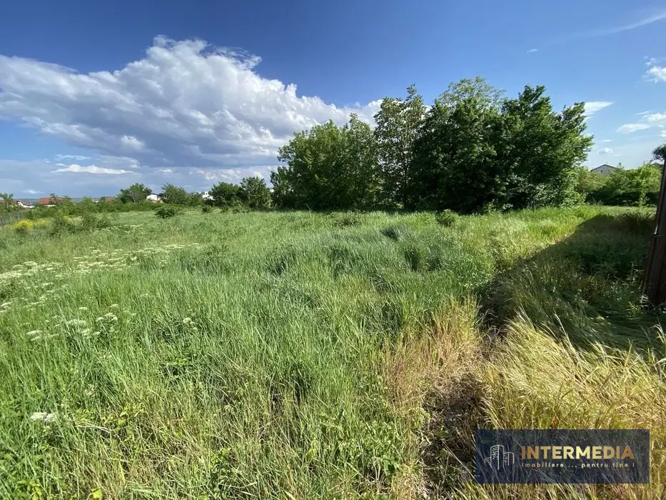 Teren intravilan cu proiect de casă pe un nivel, 471 mp, Cetate, Alba Iulia, fotografia 8