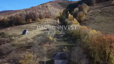 Proprietate cu teren de 17.000 mp in Necrilesti ( Intregalde), curent