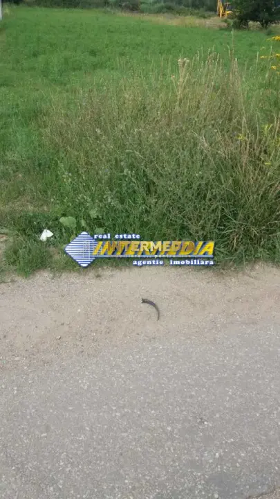 Teren Intravilan de vanzare cu in suprafata de 1600 mp zona Alba-Micesti