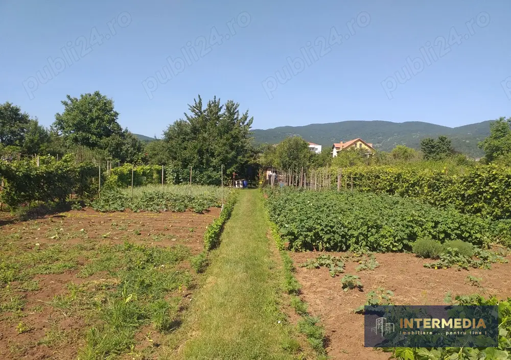 Teren Intravilan Vanzare 1400 mp. Alba Micesti deschidere 16m. Toate Utilitatile, fotografia 1