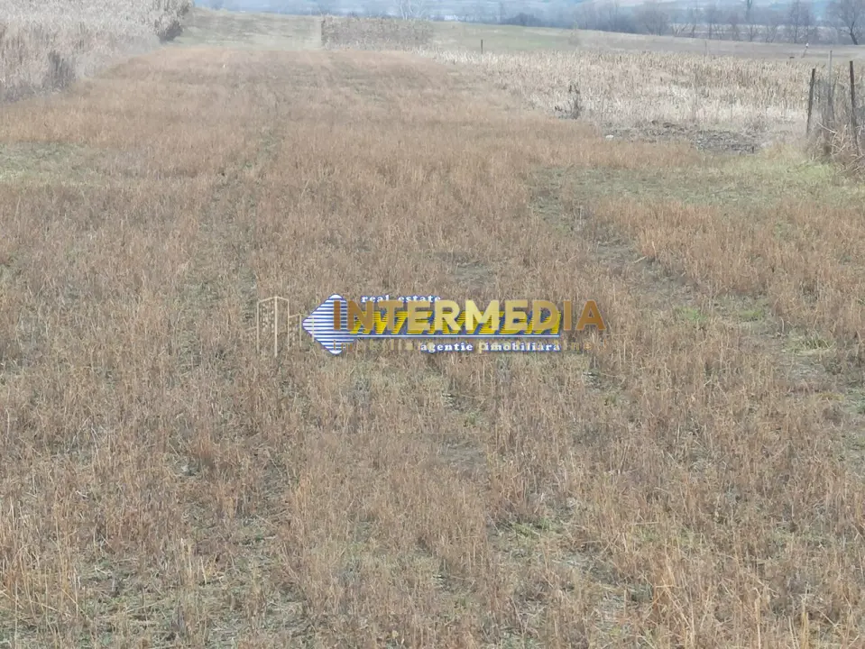Teren intravilan 4200 mp de vanzare Alba Micesti cu utiliati langa, fotografia 3