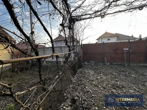 Fotografia 5