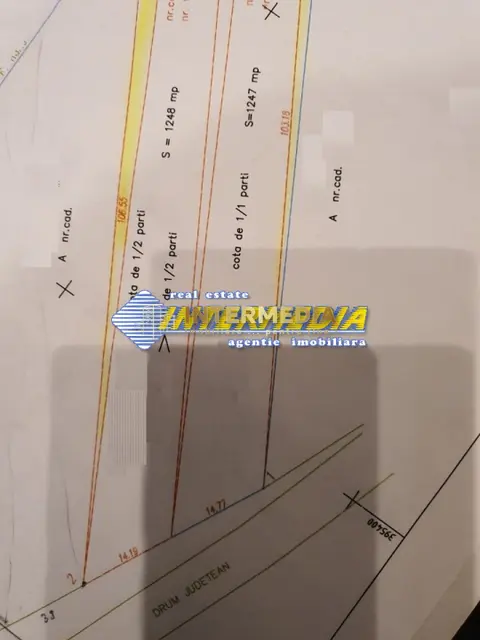 Fotografia 3